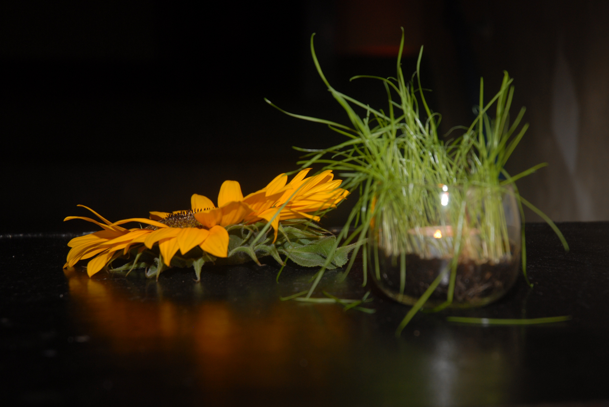 Sommerfeierei08 (43)